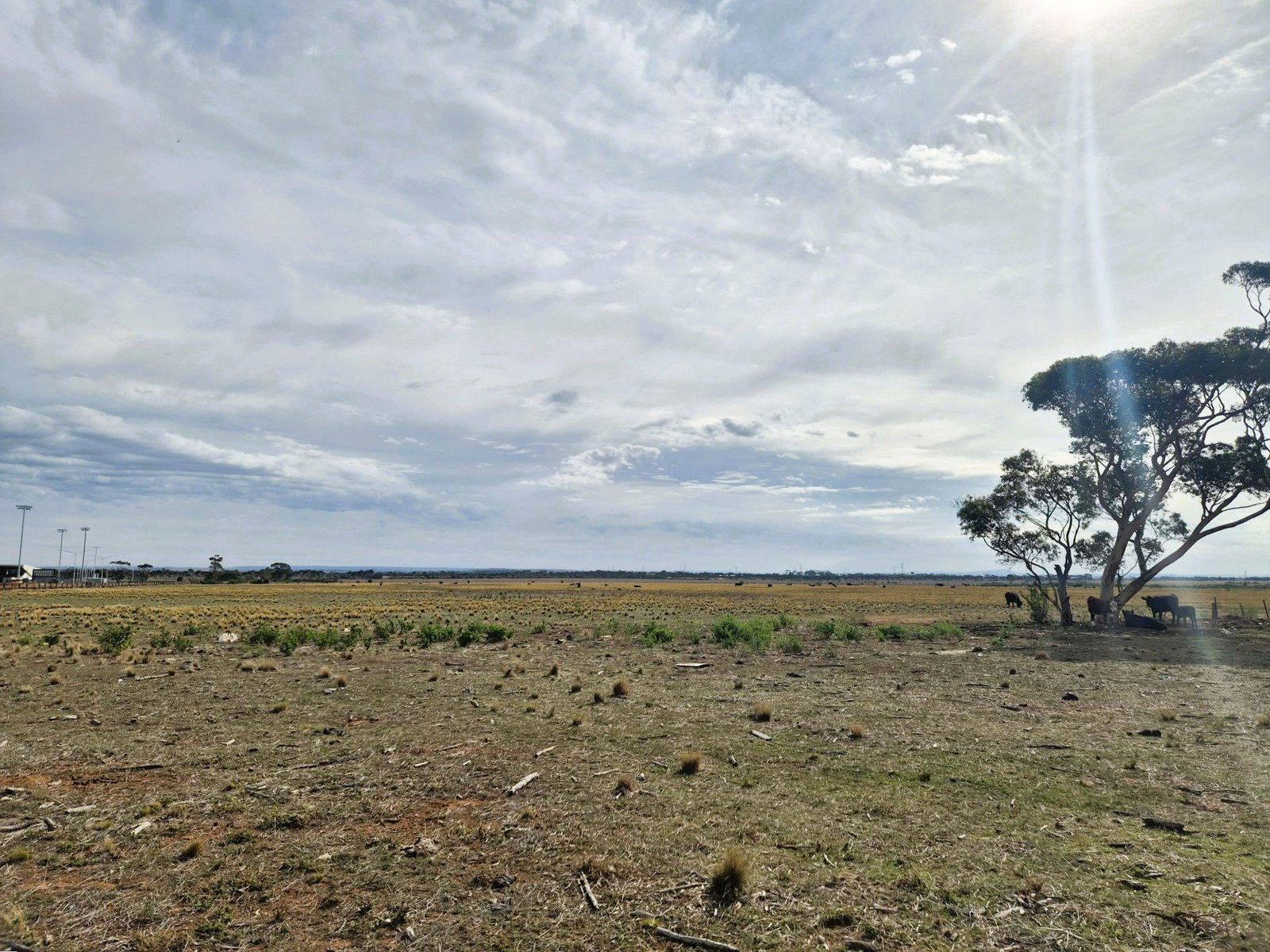 Land Management